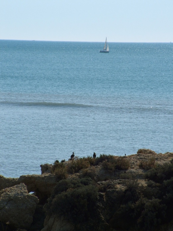 2011-10 Portugal/Olhao/DSCF6139.JPG